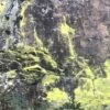 Schwarzwald Felsen in Farben Gelb und Grün – Bild 6
