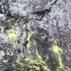 Schwarzwald Felsen in Farben Gelb und Grün – Bild 5