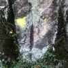 Schwarzwald Felsen in Farben Gelb und Grün – Bild 4