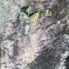 Schwarzwald Felsen in Farben Gelb und Grün – Bild 3