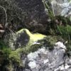 Schwarzwald Felsen in Farben Gelb und Grün