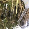 ArtPhoto Winterliche Orange-Serie: Künstlerische Fotokollektion – Bild 7