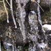 ArtPhoto Winterliche Orange-Serie: Künstlerische Fotokollektion – Bild 8