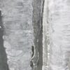 Eisvorhänge – Bild 3