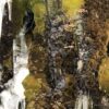 ArtPhoto Winterliche Orange-Serie: Künstlerische Fotokollektion – Bild 5