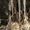 ArtPhoto Winterliche Orange-Serie: Künstlerische Fotokollektion – Bild 3